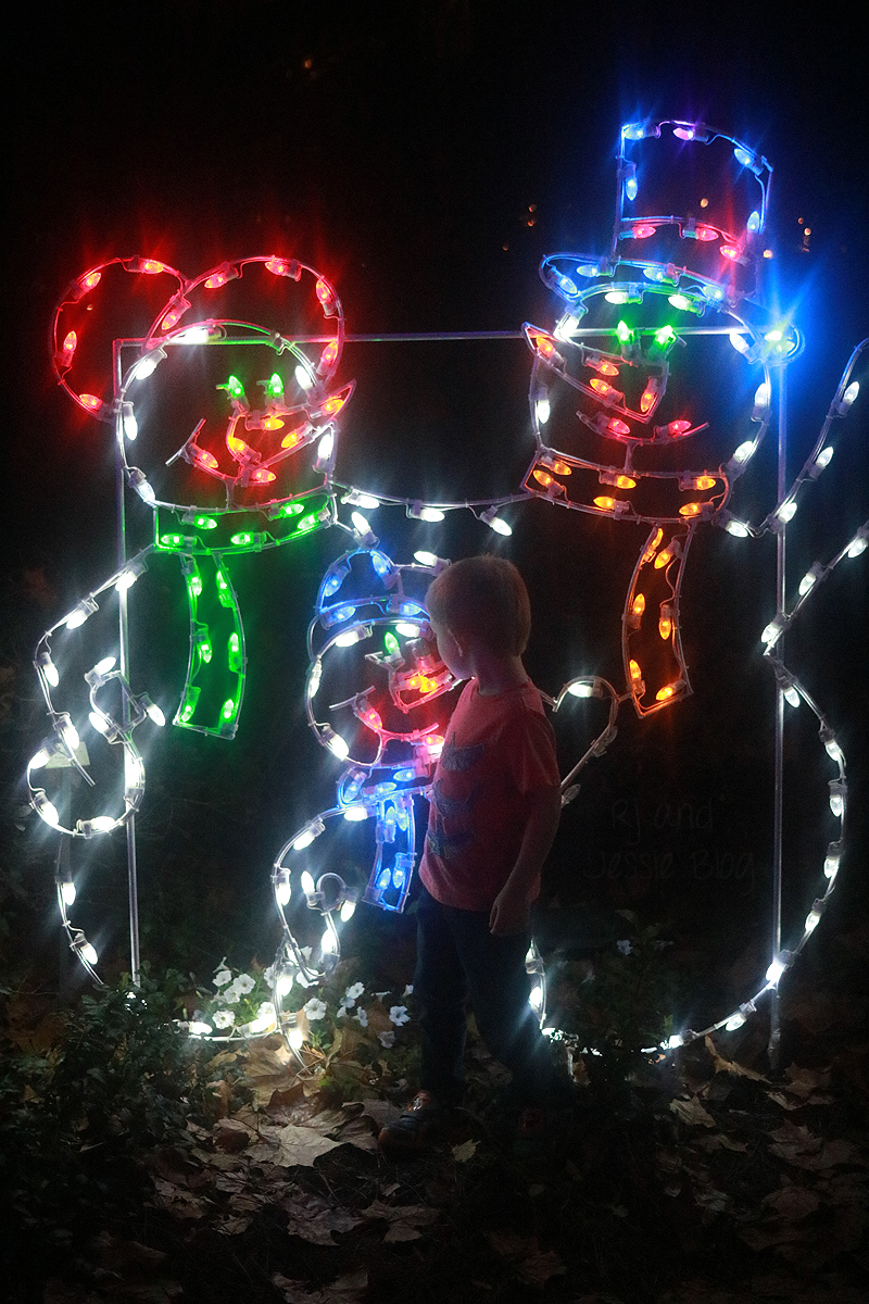 There are lots of great spots to see christmas lights around jacksonville, and the jacksonville zoo is one of our favorites every year. Zoo Lights at Jacksonville Zoo 2016