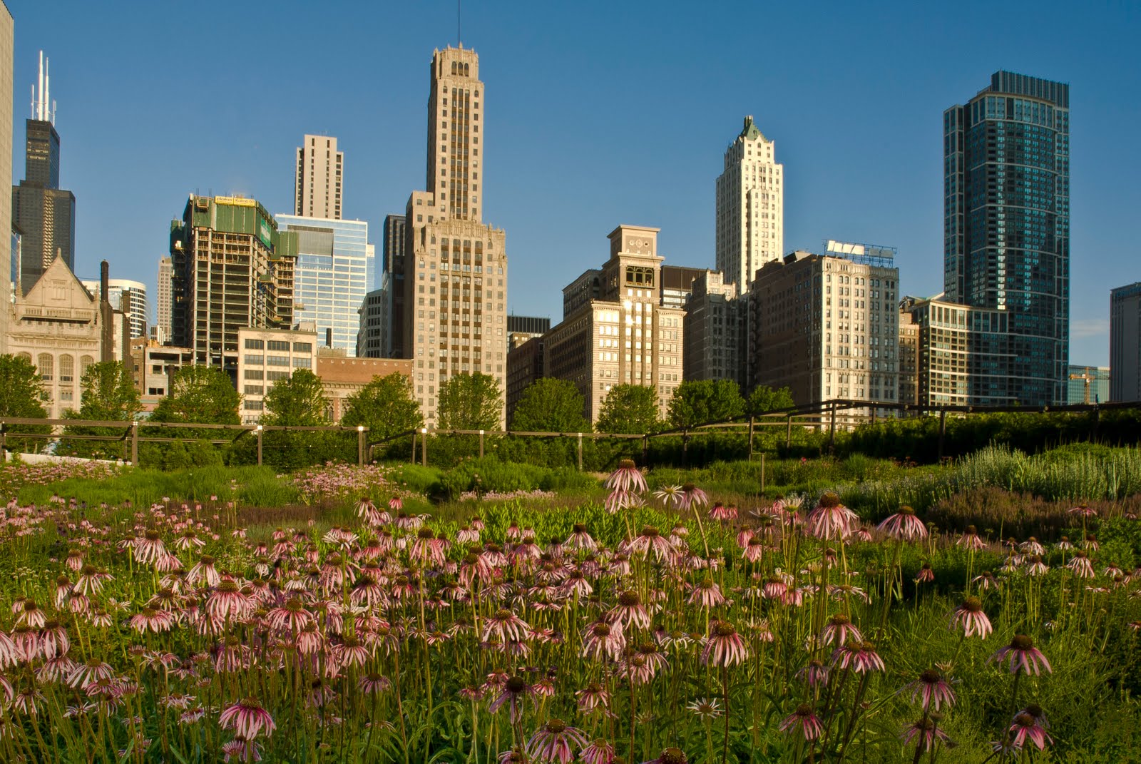 Check current gas prices and read customer reviews. Shot of the Day Grant Park Chicago