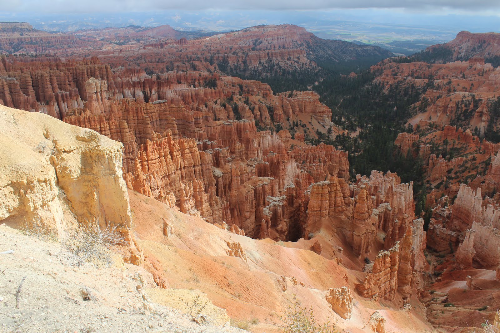 From bryce point (4 days): Bryce Canyon Rim Trail