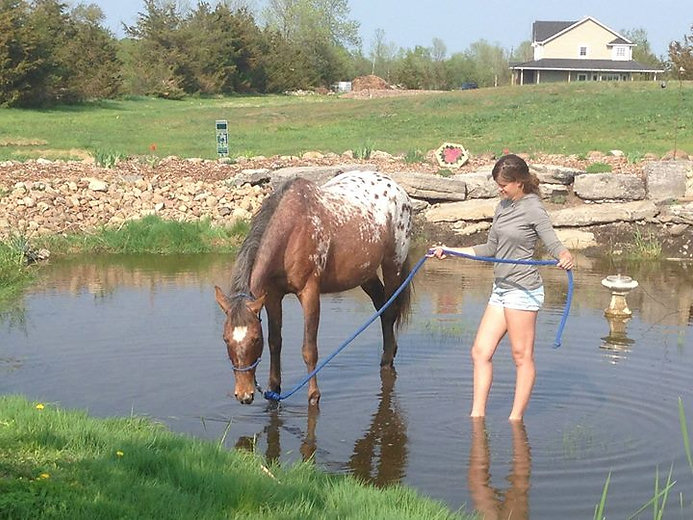 Web 1606 bardman court, high ridge, mo 63049 ; Home Second Chance Ranch