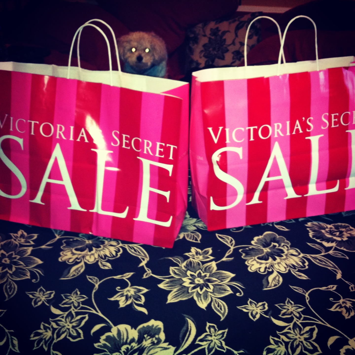 Victoria's Secret SemiAnnual Sale!